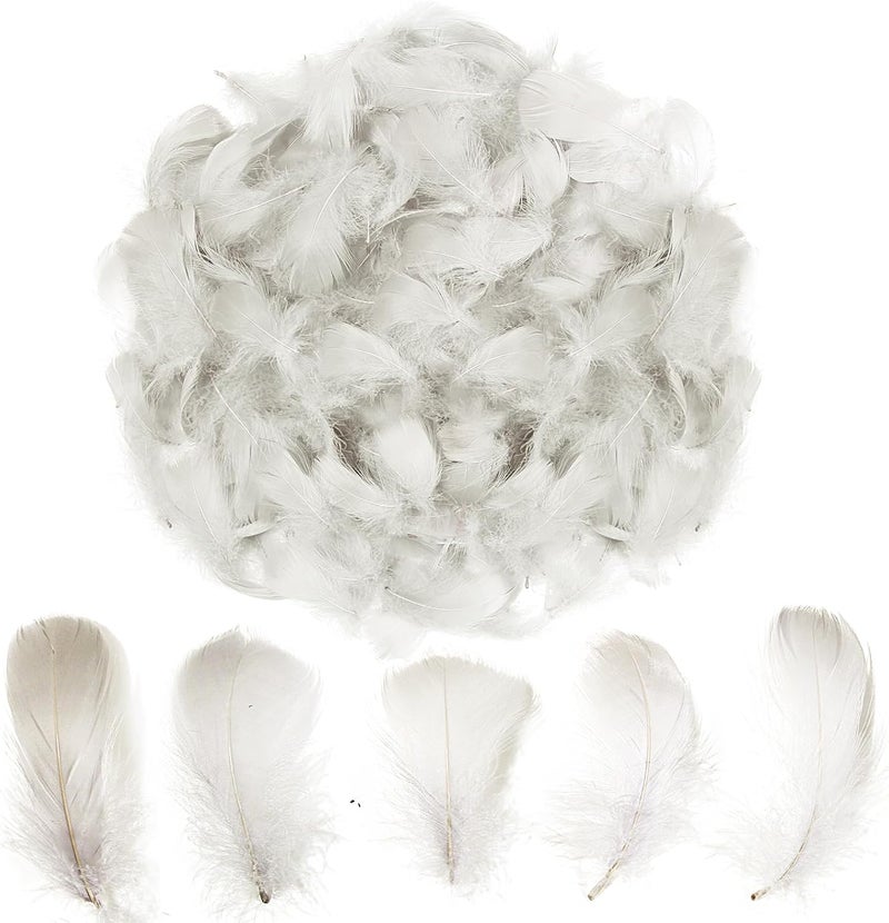 Lamar Feather 300pcs Grey Feathers 2-3 Inches Bulk Feathers for Crafting, Dream Catcher Accessories, Art Projects, DIY Crafting, Handi Crafts, Party Decoration (Light Grey) - Image 1